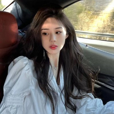小狗吉米走私事件